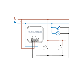 Connection diagram Type 15.21.8