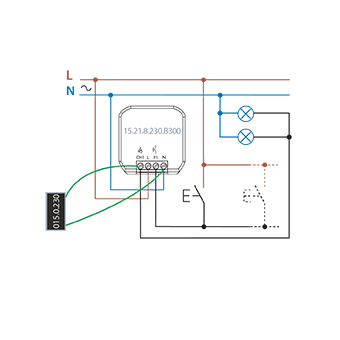 Connection diagram Type 15.21.8